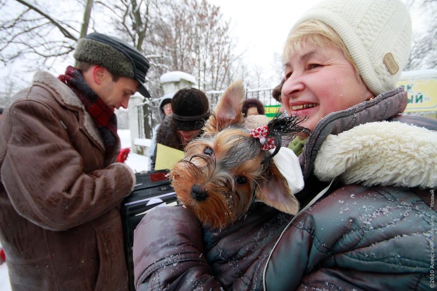 "Зеленые терминаторы": репортаж "Нового Калининграда.Ru"